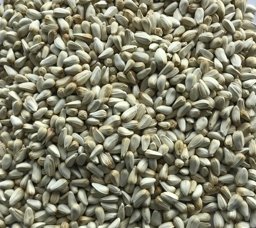 Other — products in this export subcategory