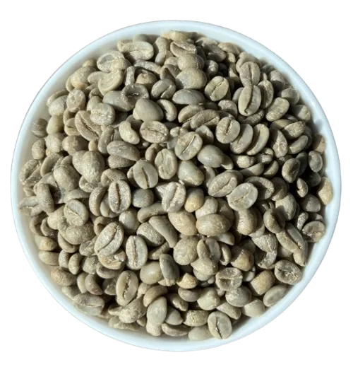 Arabica Plantation