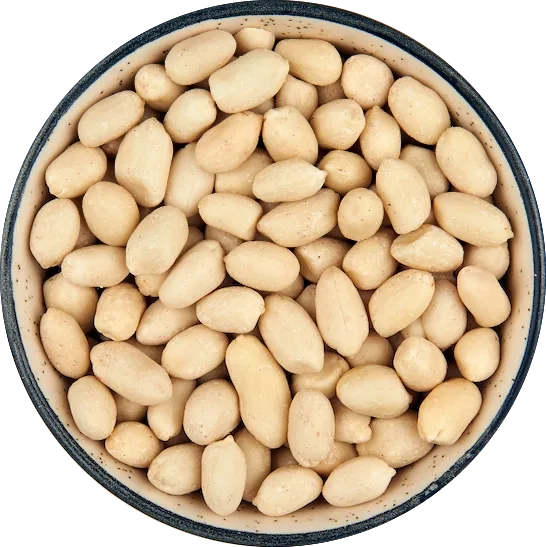 Oil Seeds — Indian agro commodity range for B2B export