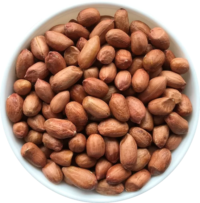 Peanut Bold