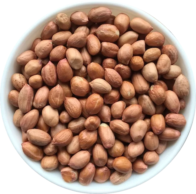 Peanut TJ