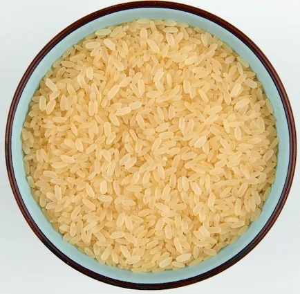 IR 8 Rice