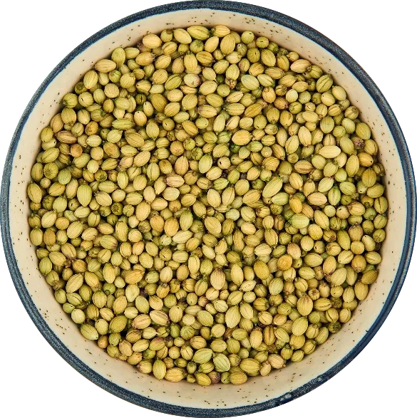 Coriander Seeds
