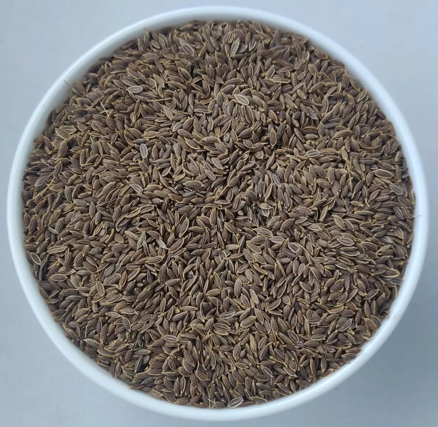 Dill Seeds
